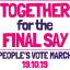 March Together for the Final Say logo